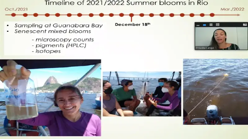 World water day webinar by Dr. Priscila Lange on harmful algal blooms in Rio de Janeiro (Brazil)